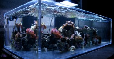 Comment fabriquer un aquarium en acrylique