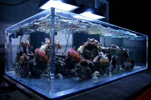 Comment fabriquer un aquarium en acrylique