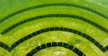 Comment se débarrasser des algues moutarde dans une piscine
