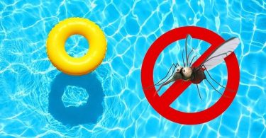 Comment éloigner les moustiques de votre piscine