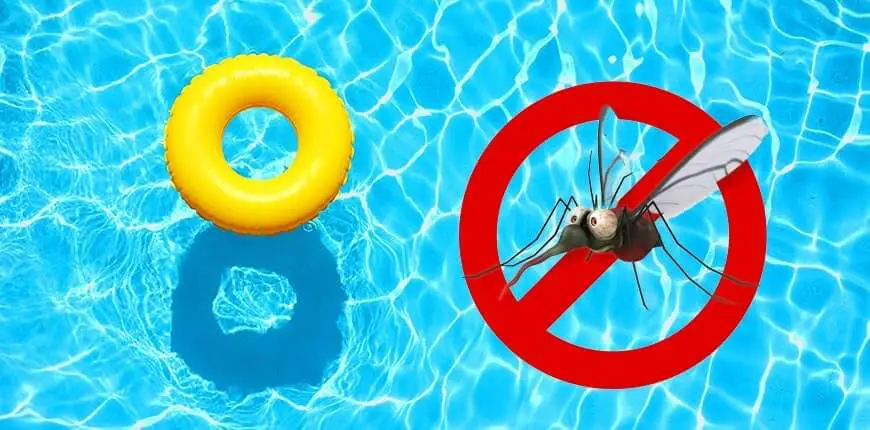 Comment éloigner les moustiques de votre piscine
