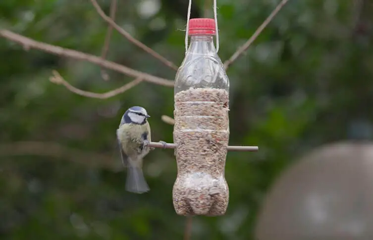 fabriquer mangeoire pour oiseaux du jardin avec bouteille plastique