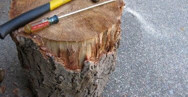 Comment conserver un tronc d arbre