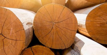 Comment faire secher du bois sans fissures