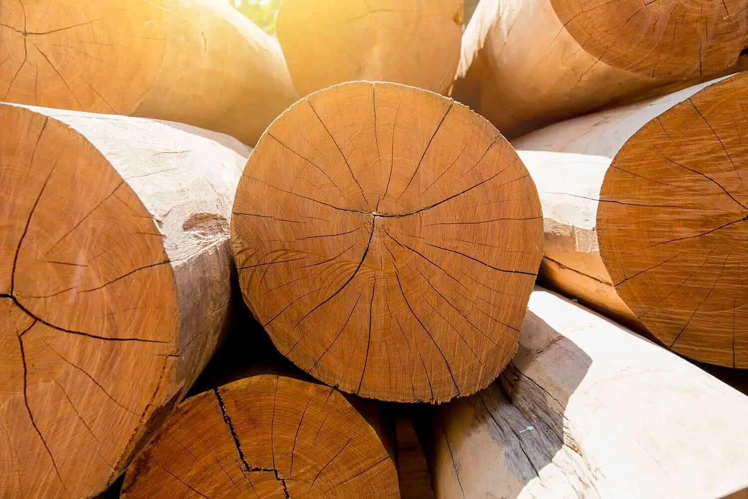 Comment faire secher du bois sans fissures