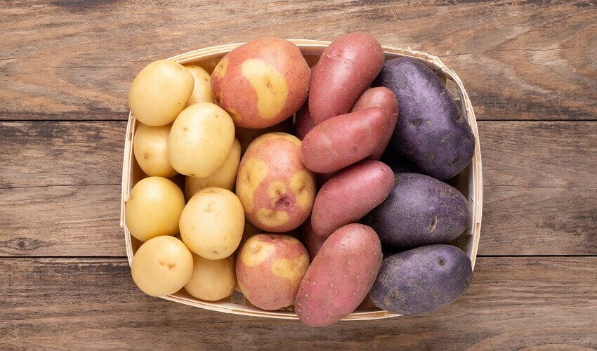 Combien de pommes de terre dans 1 kg