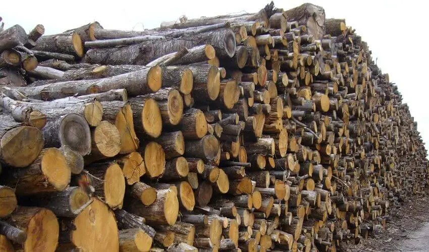 Combien de stere de bois pour un hiver