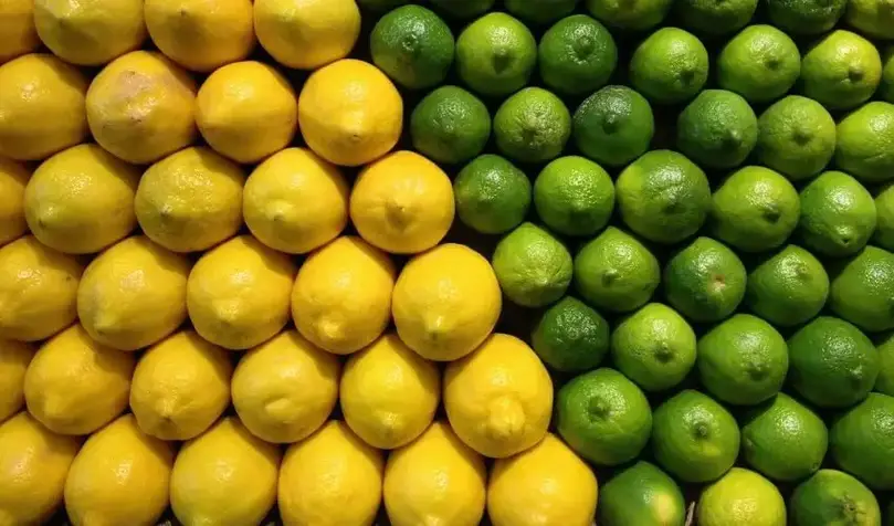 Difference entre citron vert et jaune