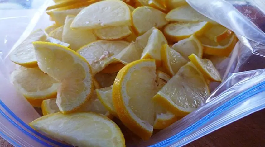 Peut on congeler des citrons