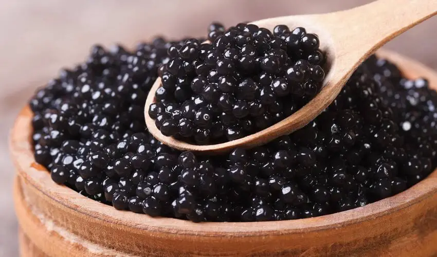Pourquoi le caviar est cher