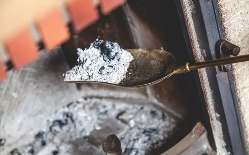 Que faire des cendres de cheminee