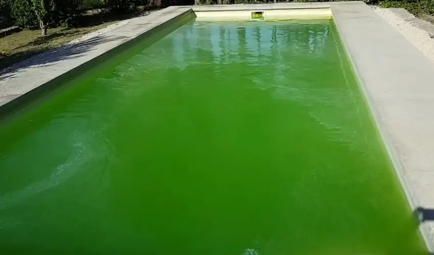 Que faire quand leau de la piscine est verte