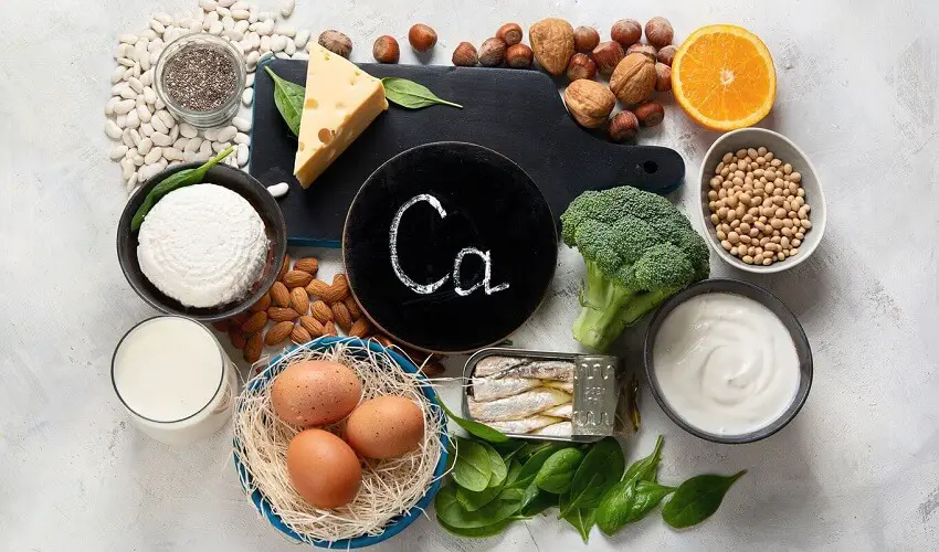 Quels aliments contiennent du calcium