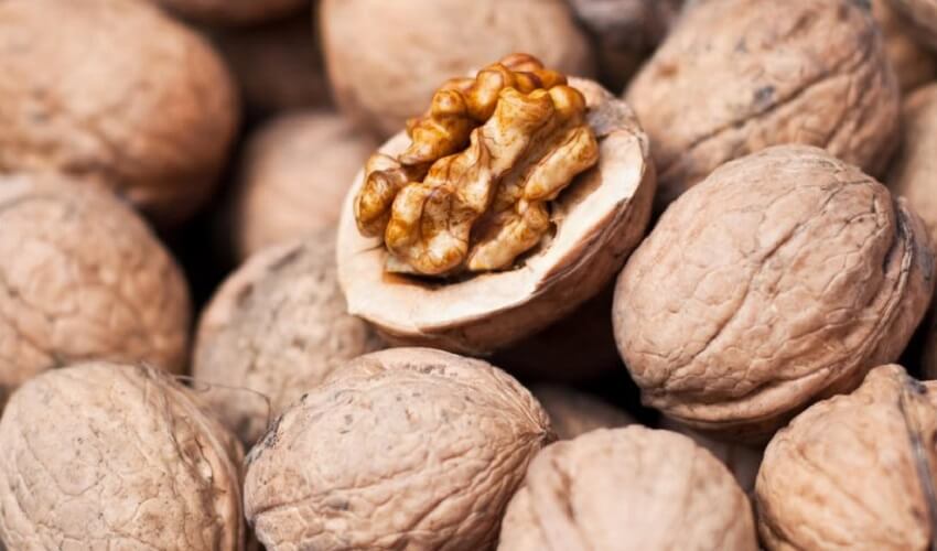 Combien de noix par jour pour le cholesterol