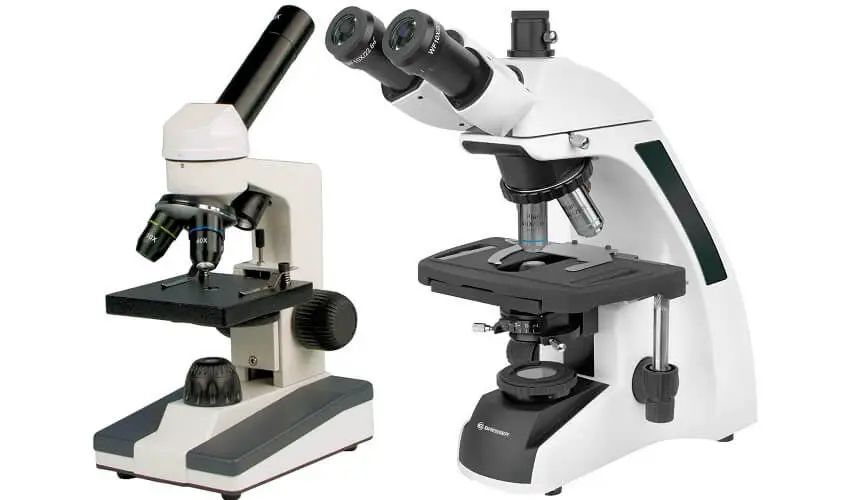 Comment fonctionne le microscope