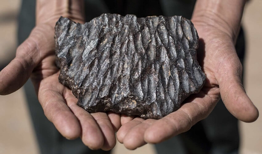De quoi est constituee une meteorite