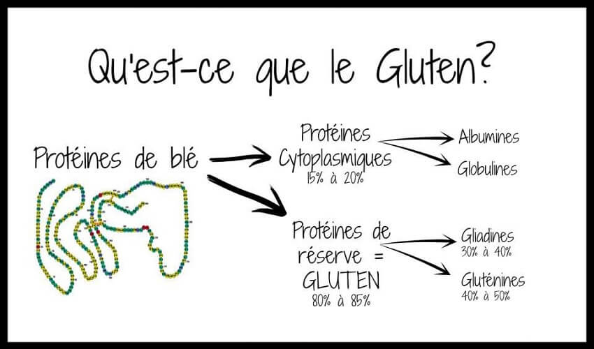 De quoi est fait le gluten