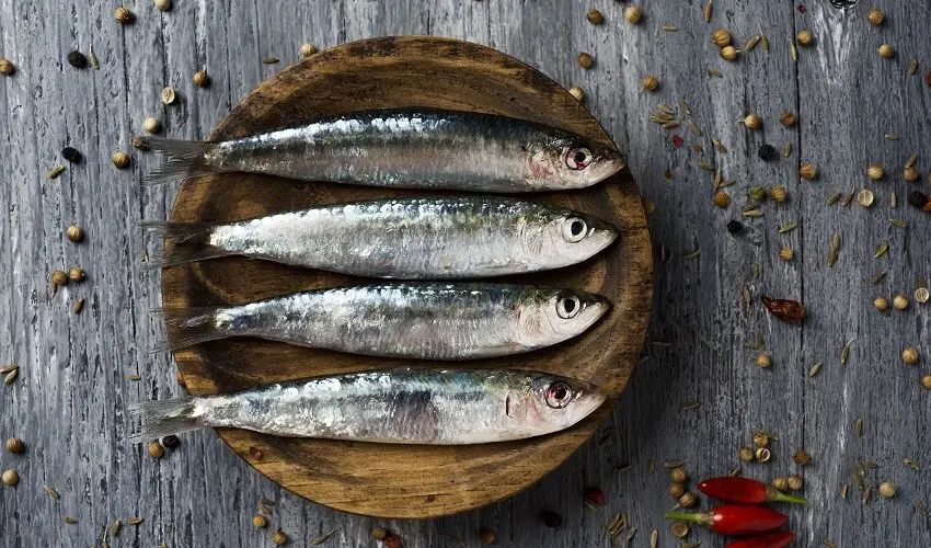Est ce que les sardines sont bonnes pour la sante