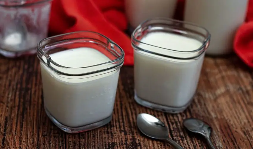 Faut il faire bouillir le lait cru pour faire des yaourts