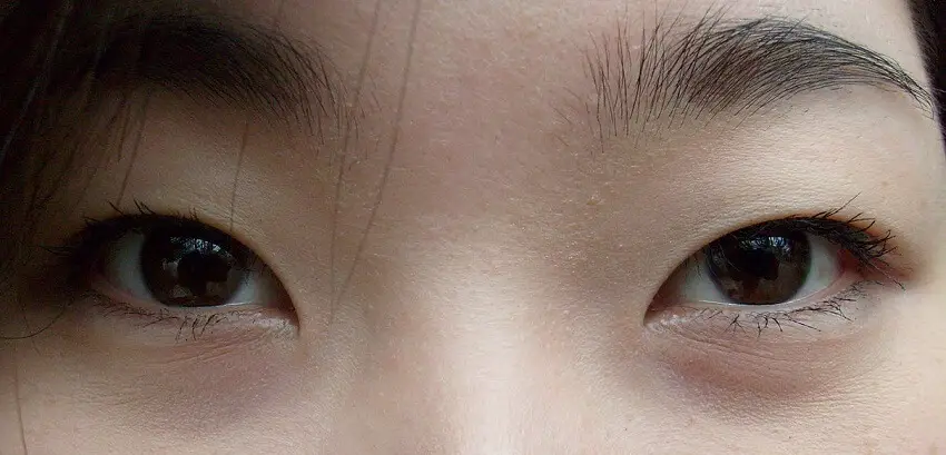 Pourquoi les chinois ont les yeux brides