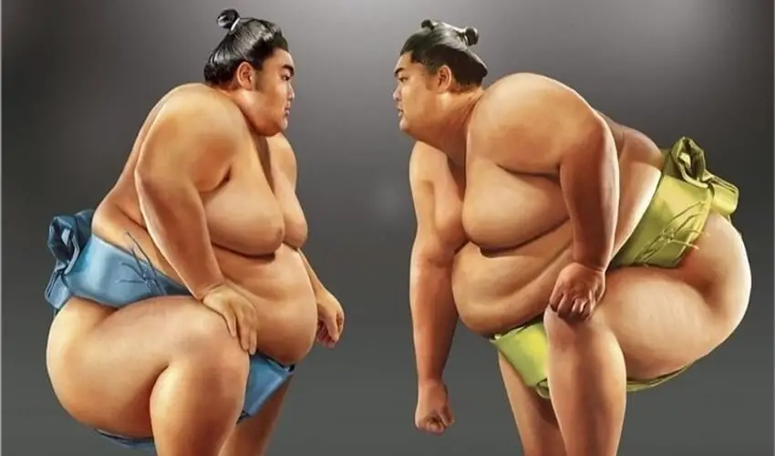 Pourquoi les lutteurs de sumo sont gros