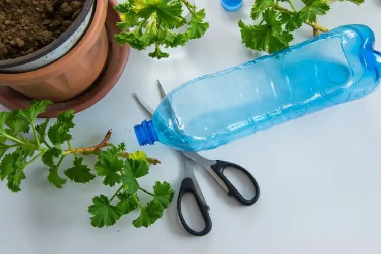 Comment arroser des plantes avec une bouteille plastique