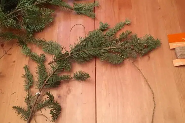 Comment conserver des branches de pin