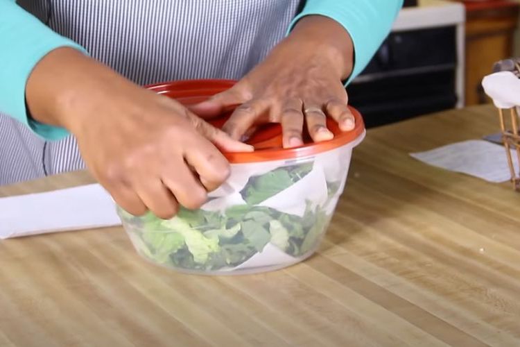 Comment conserver la salade au frigo