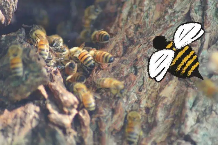Comment eloigner des abeilles de terre