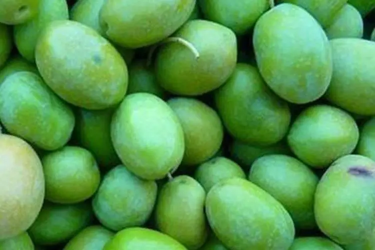 Comment enlever lamertume des olives