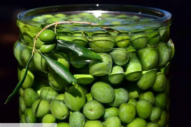 Comment preparer les olives vertes