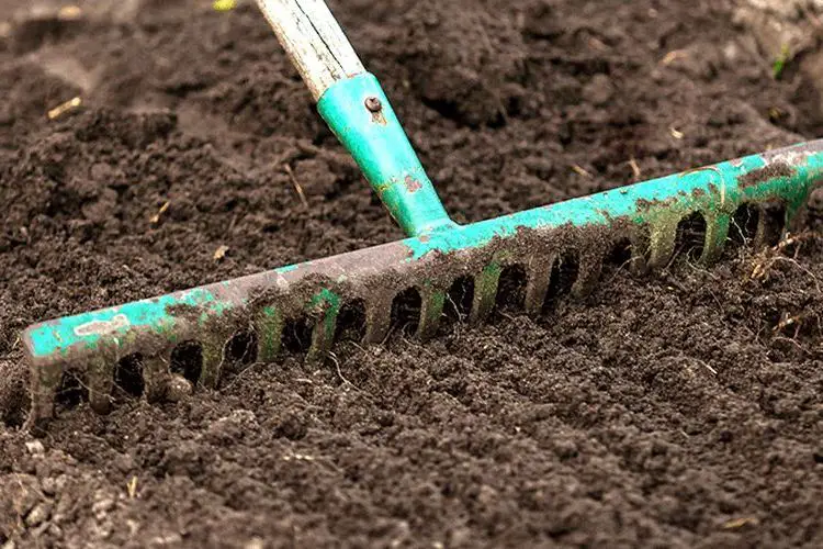 Comment preparer un terrain avant de semer la pelouse