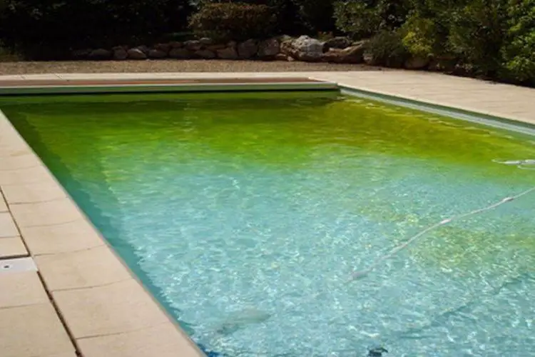 Comment rattraper une eau verte de piscine au sel