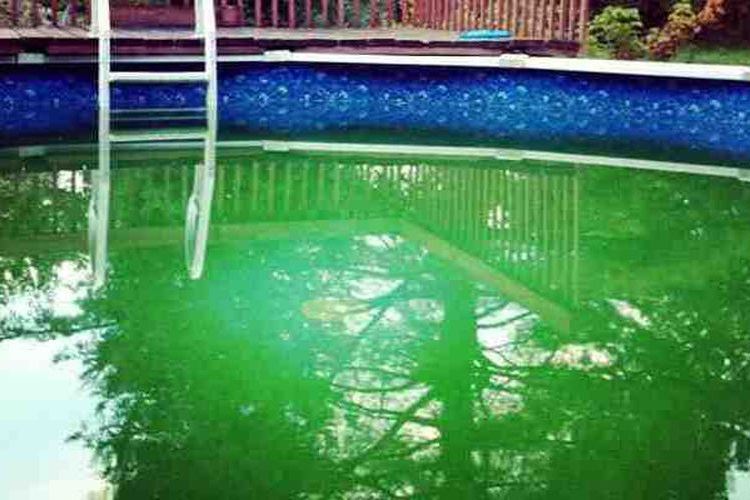 Comment recuperer ma piscine verte