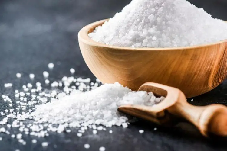 Comment remplacer le sel