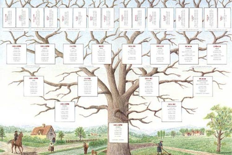 Comment retrouver un arbre genealogique