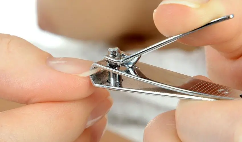 Comment se couper les ongles