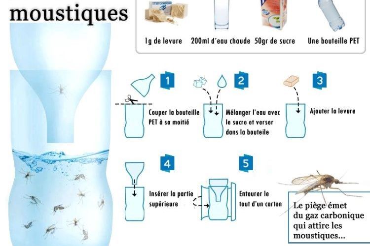 Comment se debarrasser des moustiques a lexterieur
