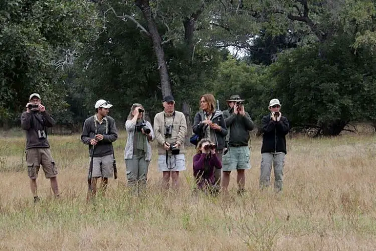 Comment shabiller pour un safari en Afrique du sud