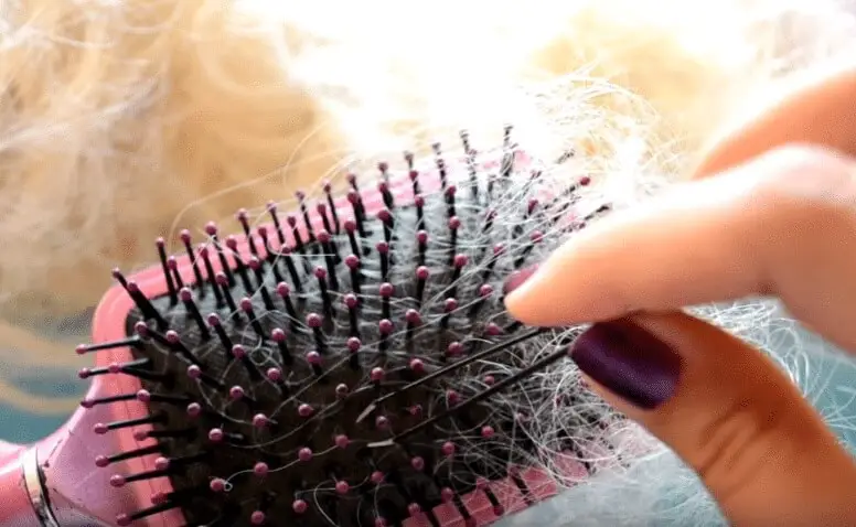 Comment enlever des cheveux sur une brosse