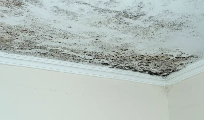 Comment enlever des taches dhumidite sur un plafond blanc