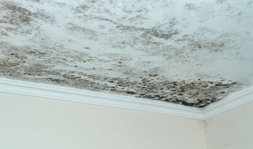 Comment nettoyer les moisissures au plafond