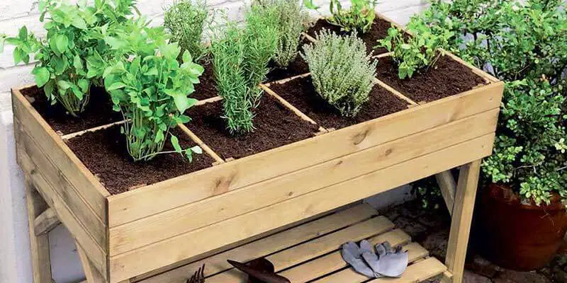 Comment planter des legumes dans une jardiniere