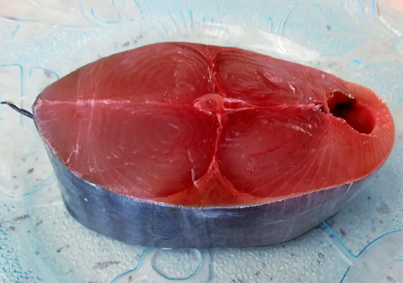 Comment cuisiner le thon