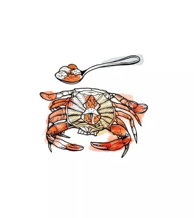 crab 03