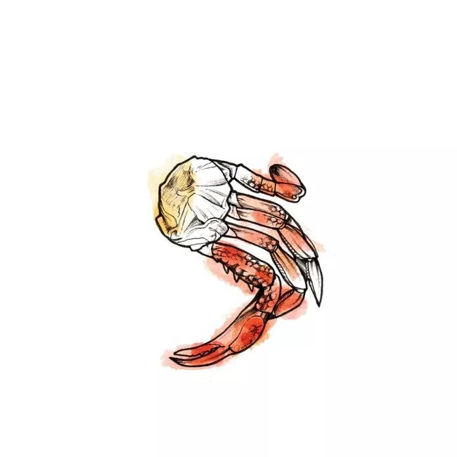 crab 05