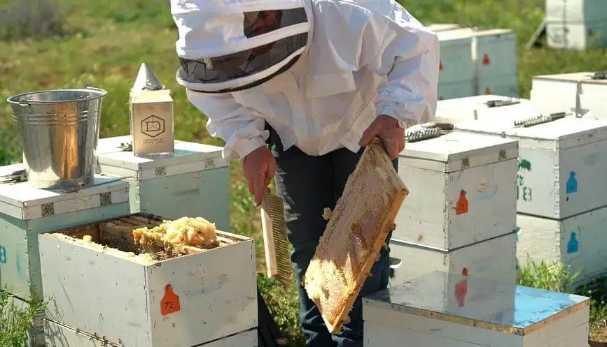 Comment nettoyer la cire d'abeille