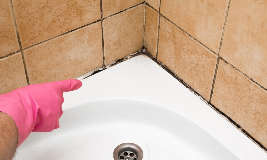 Comment nettoyer la moisissure dans une salle de bain